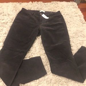NWT LOFT Curvy Skinny Corduroy Pants